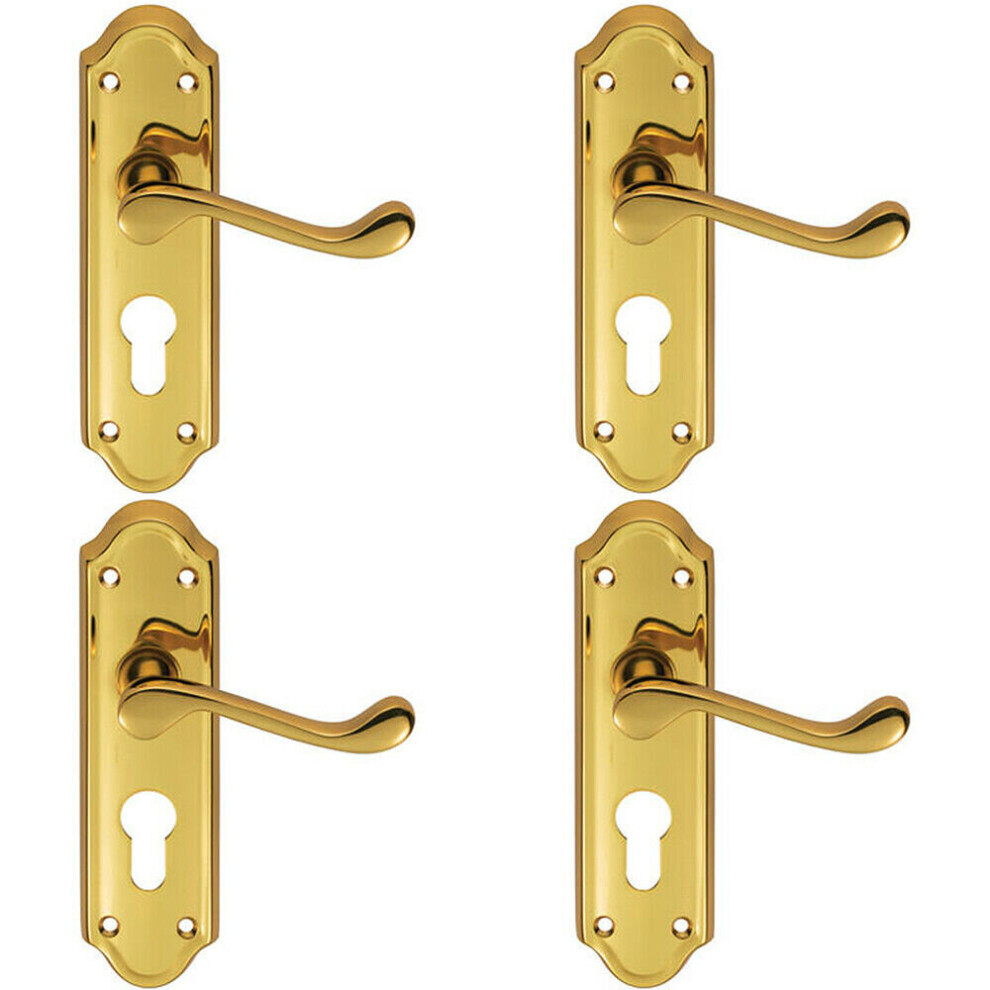Loops 4X Pair Victorian Upturned Lever On Euro Lock Backplate 168 X 47Mm Brass