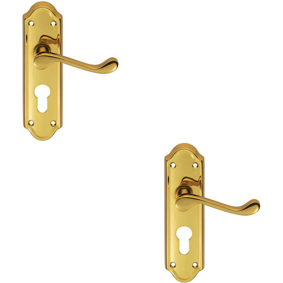 Loops 2X Pair Victorian Upturned Lever On Euro Lock Backplate 168 X 47Mm Brass