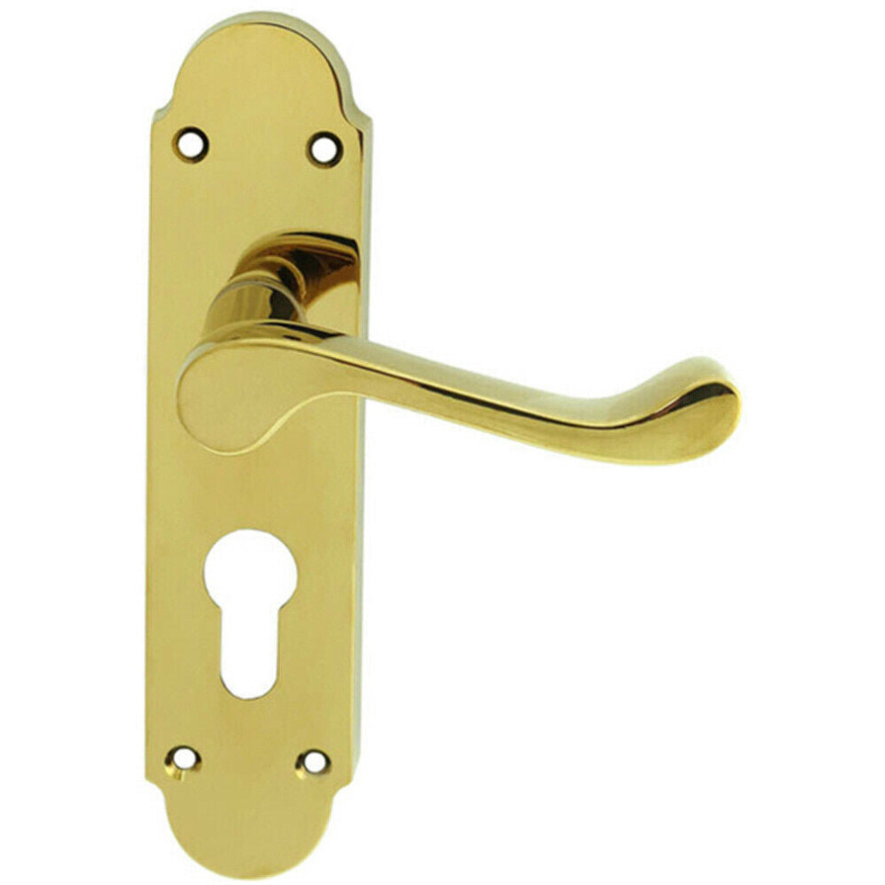 Pair Victorian Upturned Lever On Euro Lock Backplate 170 X 42 Polished Brass