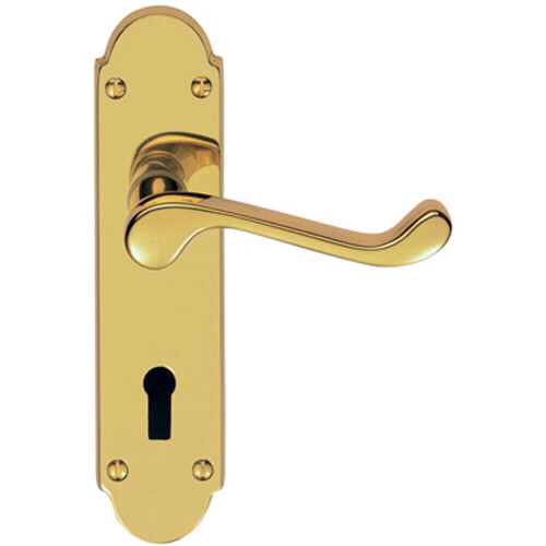 Loops PAIR Victorian Upturned Handle on Lock Backplate 170 x 42mm Polished Brass