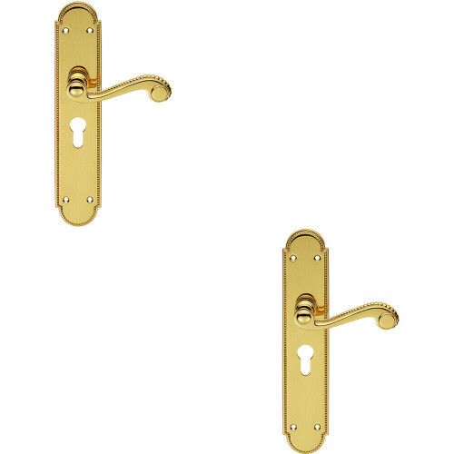 Loops 2x PAIR Beaded Pattern Handle on Euro Lock Backplate 249 x 50mm Polished Brass