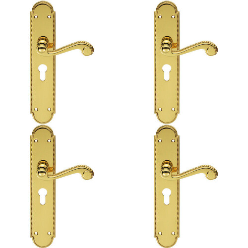 Loops 4x PAIR Beaded Pattern Handle on Euro Lock Backplate 249 x 50mm Polished Brass