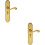 Loops 2x PAIR Beaded Pattern Handle on Bathroom Backplate 249 x 50mm Polished Brass 1
