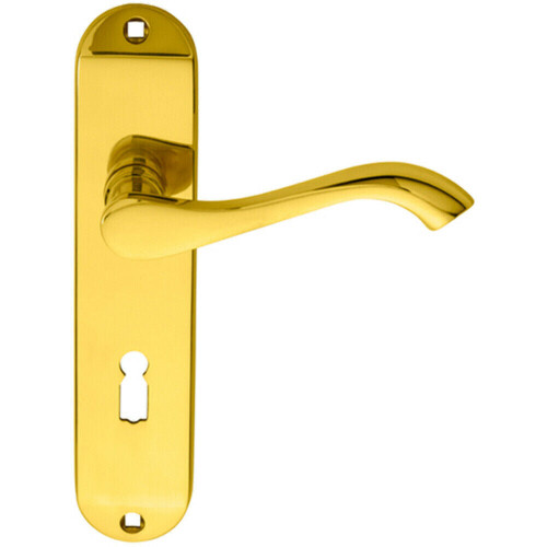 Loops PAIR Curved Handle on Chamfered Lock Backplate 180 x 40mm Polished Brass
