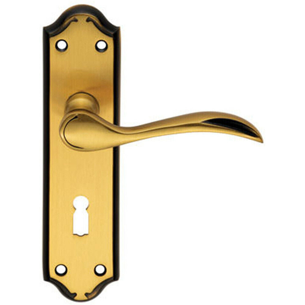 PAIR Curved Door Handle Lever on Lock Backplate 180 x 45mm Florentine Bronze