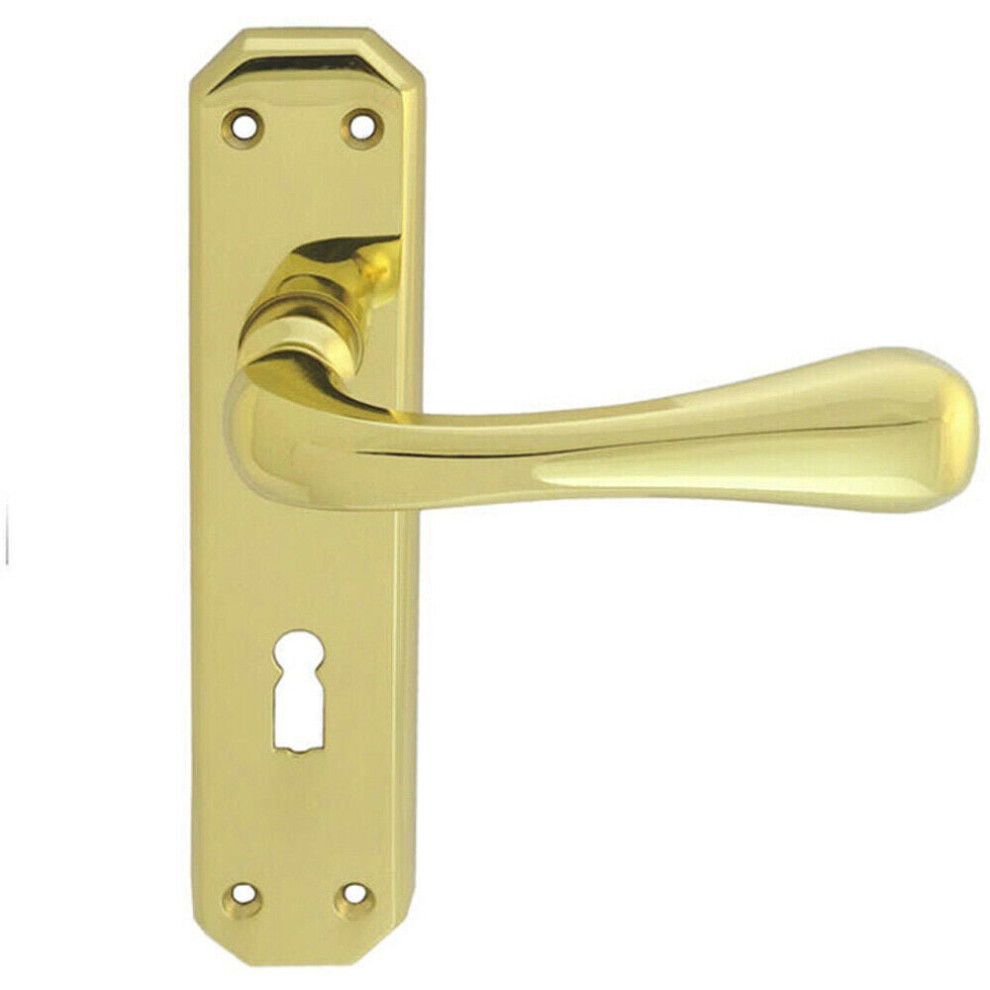 PAIR Heavy Duty Handle on Angular Lock Backplate 180 x 40mm Polished Brass