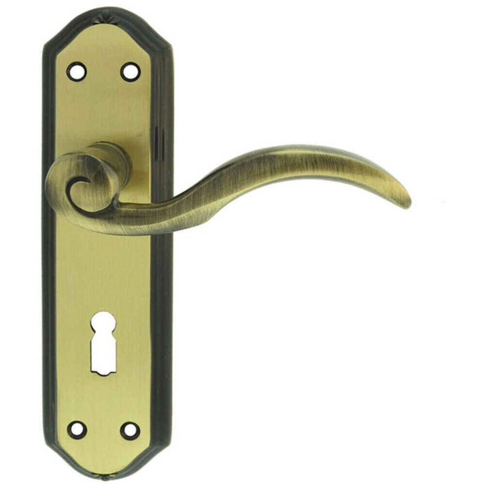 Pair Spiral Sculpted Handle On Lock Backplate 180 X 48Mm Florentine Bronze 5056492581119