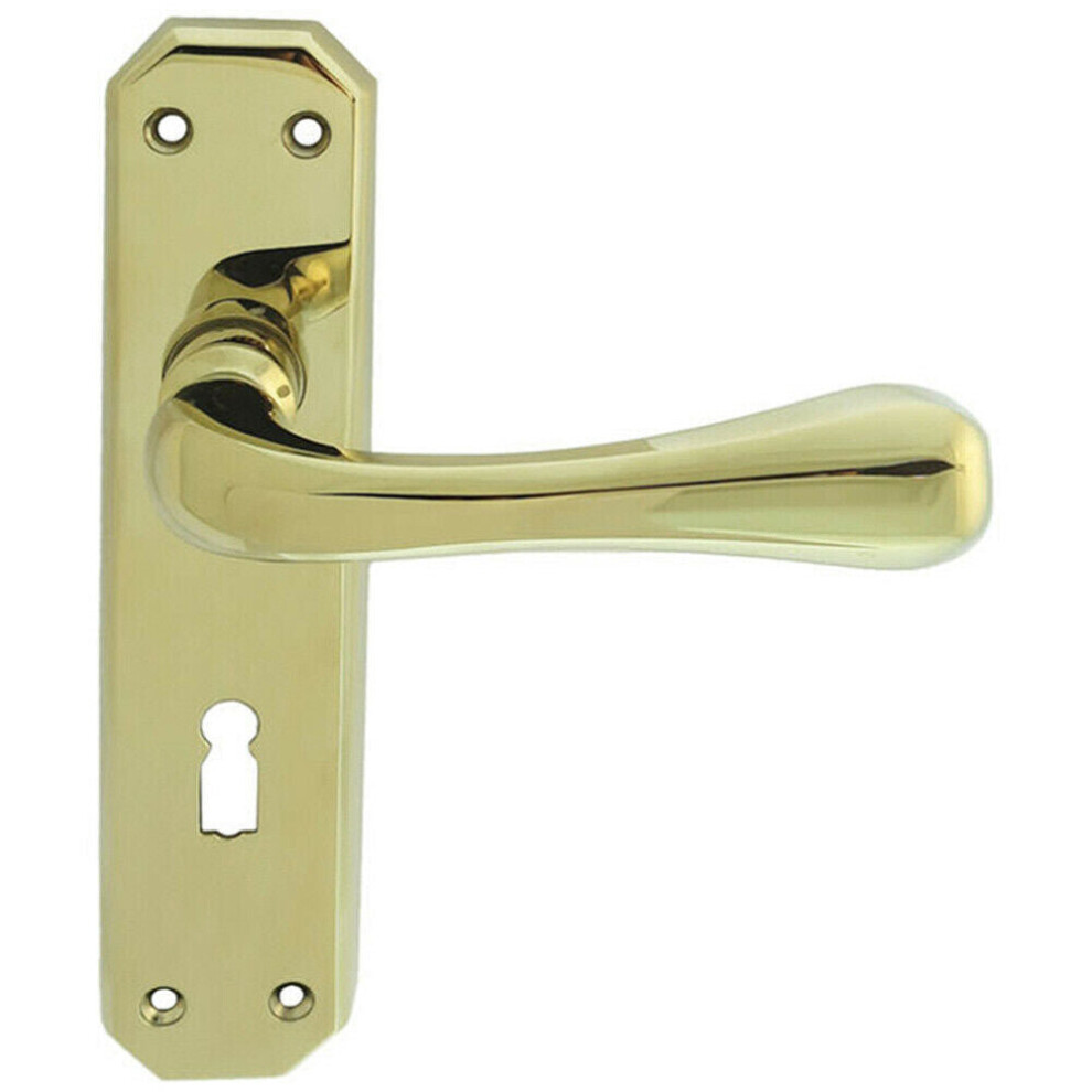 PAIR Heavy Duty Handle on Angular Lock Backplate 180 x 40mm Stainless Brass