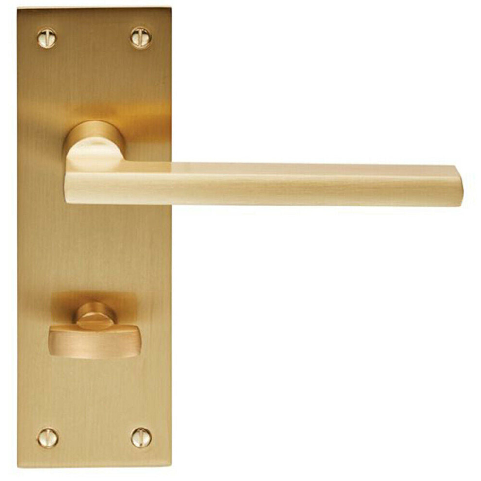 PAIR Straight Bar Handle on Slim Bathroom Backplate 150 x 50mm Satin Brass