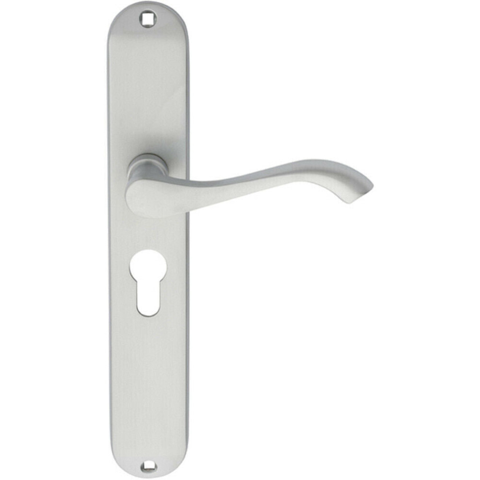 Loops Pair Curved Handle On Long Slim Euro Lock Backplate 241 X 40Mm Satin Chrome