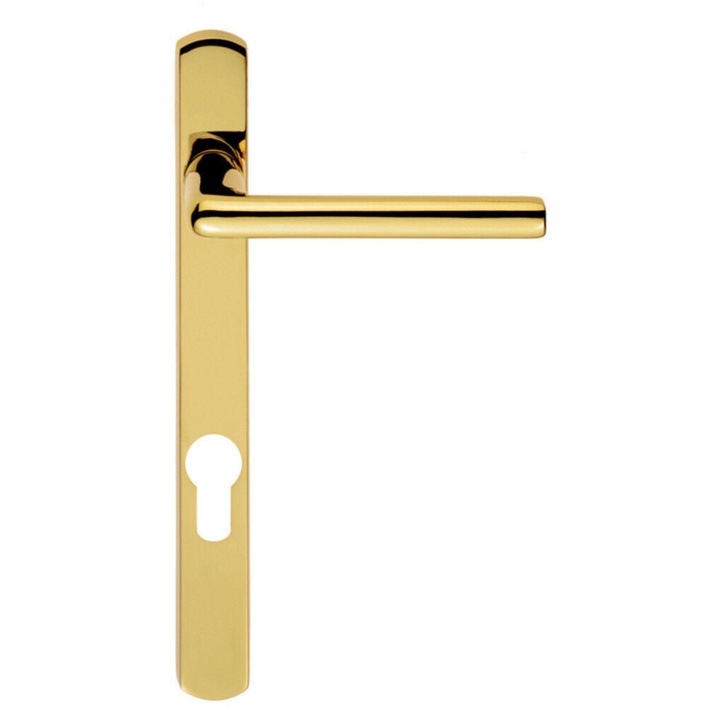 PAIR Straight Lever on Narrow Euro Lock Backplate 220 x 26mm Stainless Brass