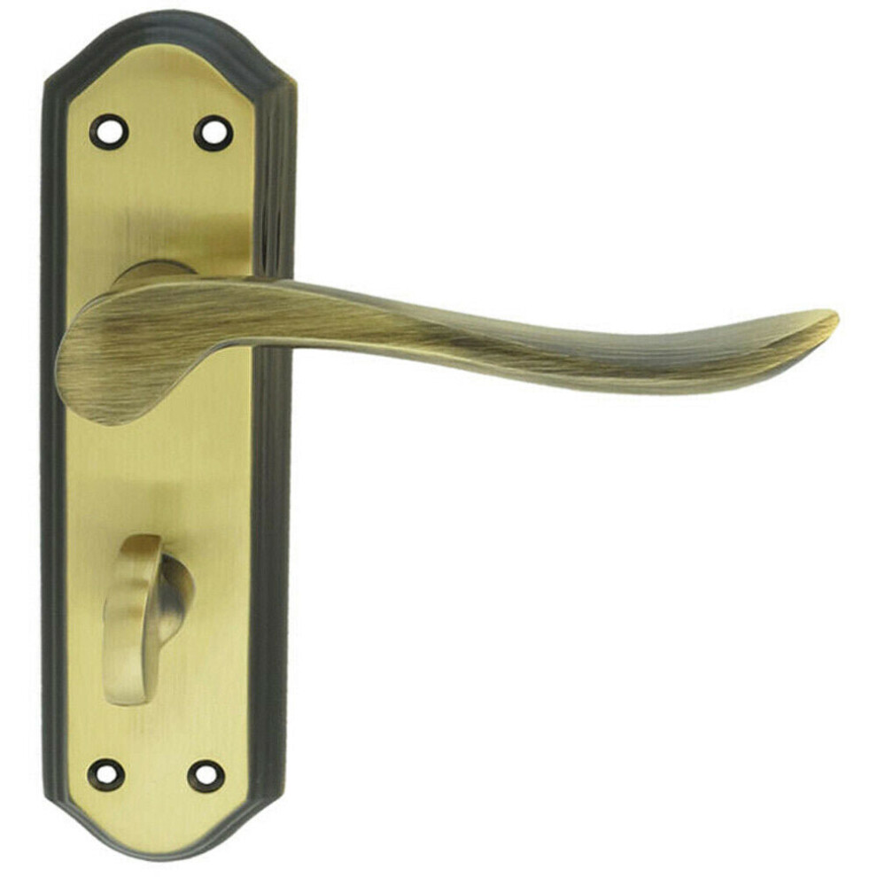 Loops Pair Curved Lever On Sculpted Bathroom Backplate 180 X 48Mm Florentine Bronze