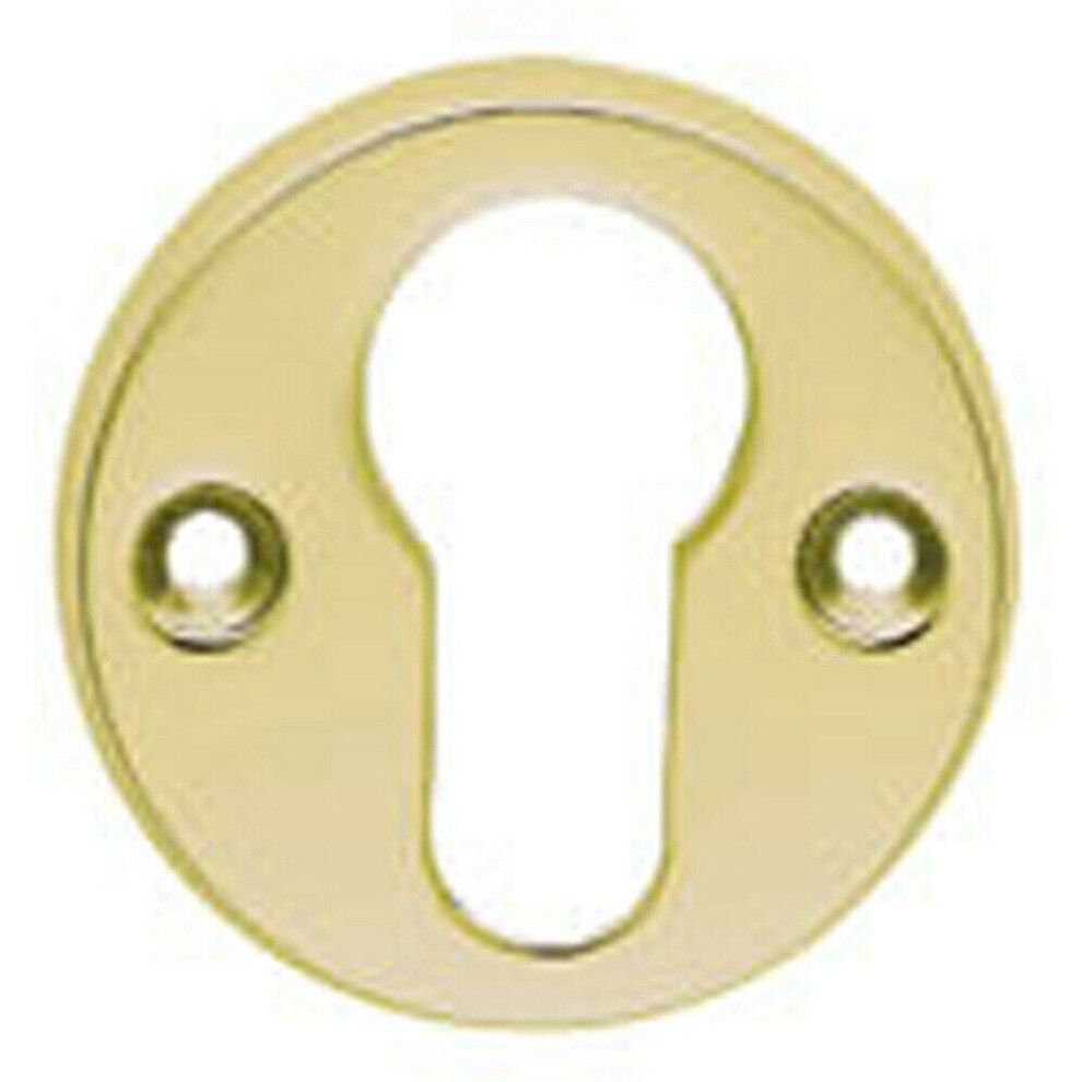 45mm Euro Profile Open Escutcheon 8mm Depth Polished Brass Keyhole Cover