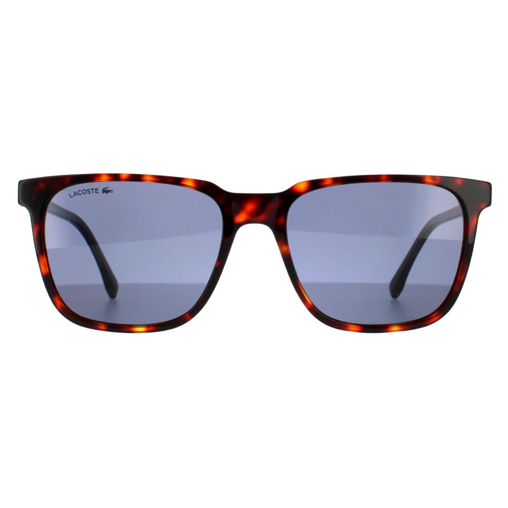 Lacoste Sunglasses L910S 220 Havana Red Solid Blue
