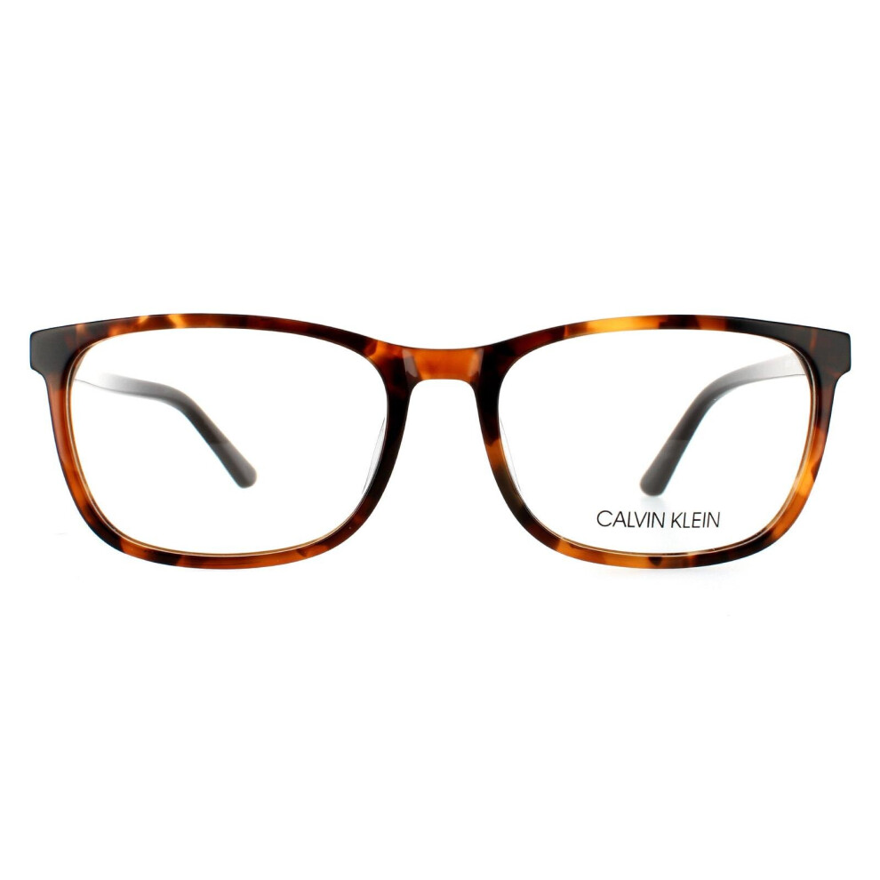 Calvin Klein Glasses Frames CK20511 282 Honey Tortoise Men