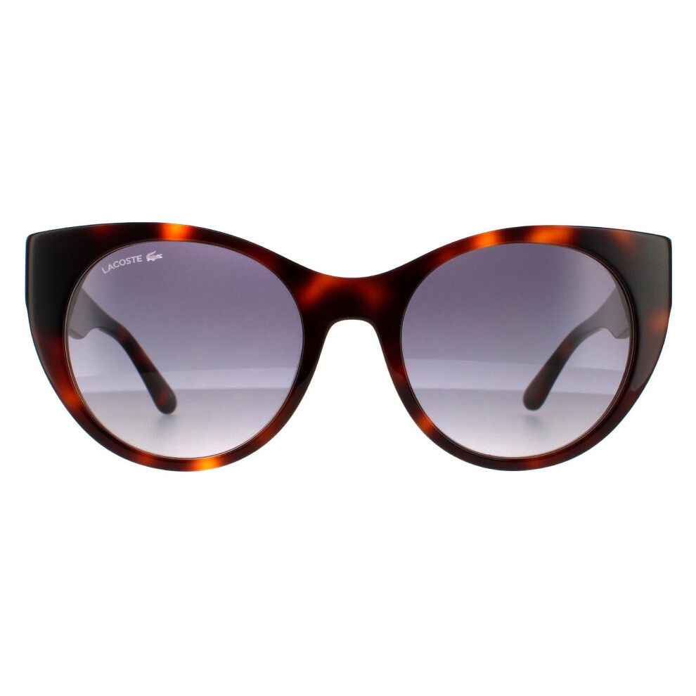Lacoste Sunglasses L913S 214 Havana Blue Gradient