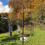 Selections Selections Metal Complete Bird Feeding Station with 4 Feeders 3