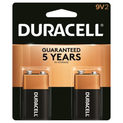 Duracell Alkaline Batteries, 9V, 2-Pk. -MN1604B2Z