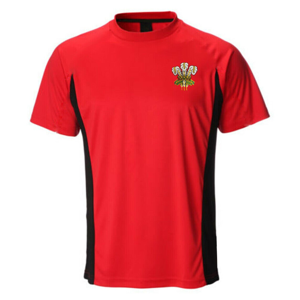 (L 42-44) Mens Wales Ich Dein Welsh Feathers Cooldry T Shirt