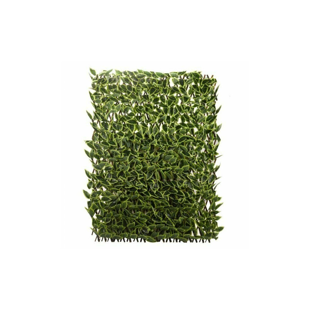 Smart Garden Expanding Trellis Artificial Green Hosta Leaf Fence Screening 180cm