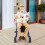 Gymax 2-in-1 Rollator Walker Foldable Aluminum Alloy Mobility Walking Aid 9