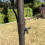Selections Hanging Bracket Hook for Selections Premium Bird Feeding Stations 3