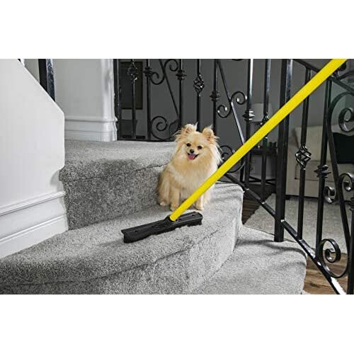 FURemover Broom 1