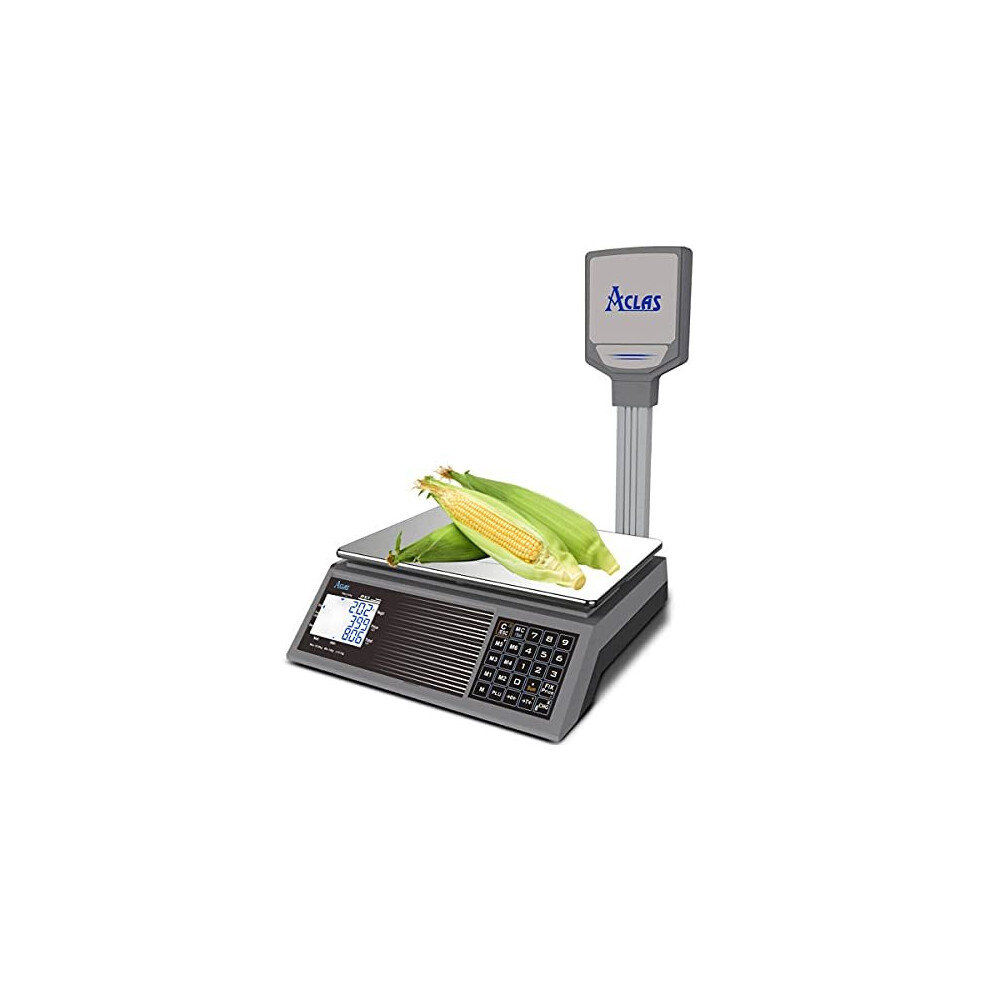 ACLAS Price Scale with Pole 30kg 2g Industrial Weighing Scale - Digital Retail Price Calculating Scale w/ LCD Dual Screen Displays for Food,