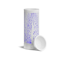 Serentify Electric Wax Burner for Wax Melts and Essential Oils | 7-Colour Changing LED Light/Lamp and Wax Warmer | Easy Clean Silicone Dish | 26.