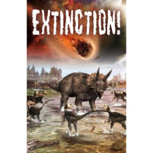 Extinction Crabtree Chrome 2