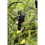 Kärcher Kärcher TLO 18-32 Cordless Battery Tree Lopper (Machine Only) 6