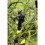 Kärcher Kärcher TLO 18-32 Cordless Battery Tree Lopper (Machine Only) 8