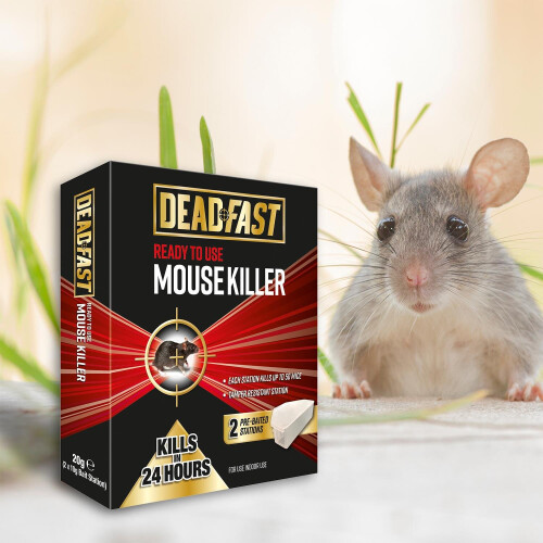 Deadfast Ready to Use Mouse Killer Bait Station Control Twin Pack 1