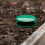 Growing Success Slug & Snail Trap Repellent Eco Friendly 10