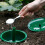Growing Success Slug & Snail Trap Repellent Eco Friendly 8