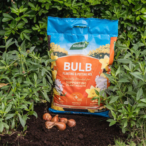 Westland Westland Bulb Planting Compost Free Draining Retains Nutrients, 10L 1