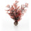 Biorb biOrb Sea Fan, Small, Crimson 1