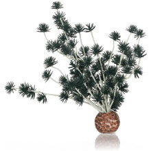biOrb Bonsai Ball Black