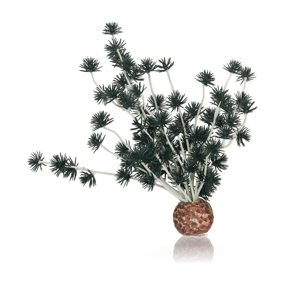 Biorb Bonsai Ball Black