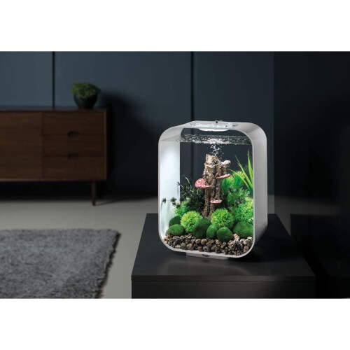 Biorb biOrb Bonsai Ball Black 2
