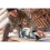 Bosch BOSCH TOOLS-FSN WAN (Parada Angular) Profissional… 3
