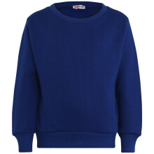 (7-8 Years, Royal Blue) Girls Boys Royal Blue Jumper Crew Neck Sweatshirt