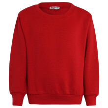 (11-12 Years, Red) Girls Boys Red Jumper Crew Neck Sweatshirt