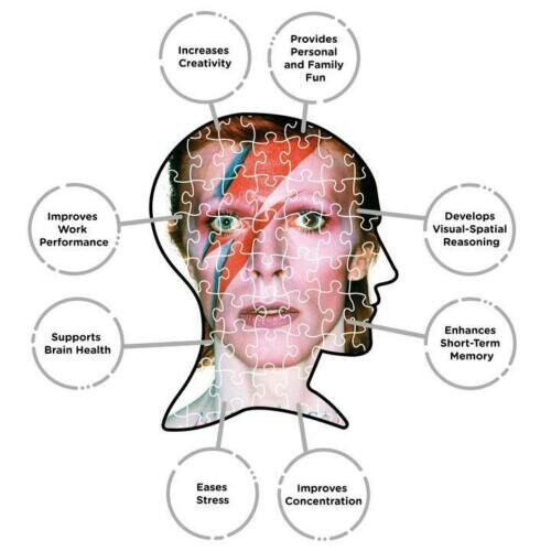 Officially Licensed David Bowie Aladdin Sane 500 Pieces Jigsaw Puzzle 1