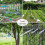 Reflective Bird Repellent Tape For Garden 3