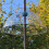 Selections Squirrel Proof Baffle Protection for Wild Bird Feeders 2