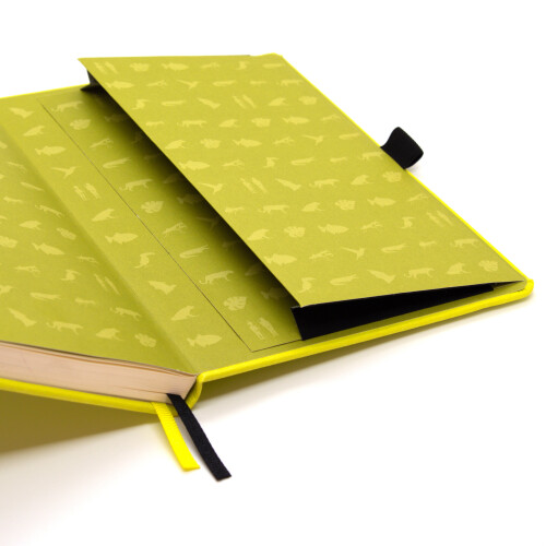 (Lime Yasuni, Dotted with Bullet Journaling Features) D50 1
