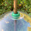 Selections Squirrel Proof Baffle Protection for Wild Bird Feeders 3