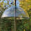 Selections Squirrel Proof Baffle Protection for Wild Bird Feeders 4