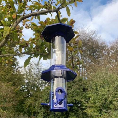 Selections Squirrel Proof Hanging Bird Seed Feeder 1